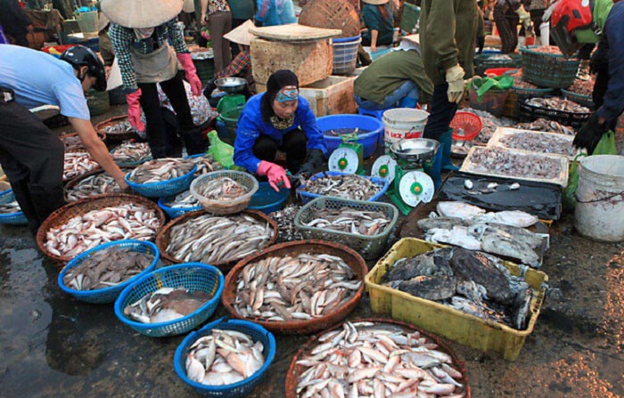 Chợ cá Hạ Long chuyên cung cấp các loại cá tươi sống, thơm ngon