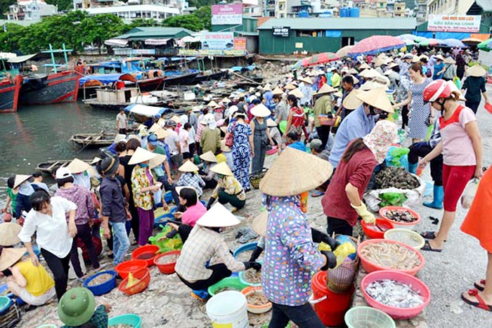 Ngư dân và thương lái đang buôn bán các mặt hàng hải sản tại chợ