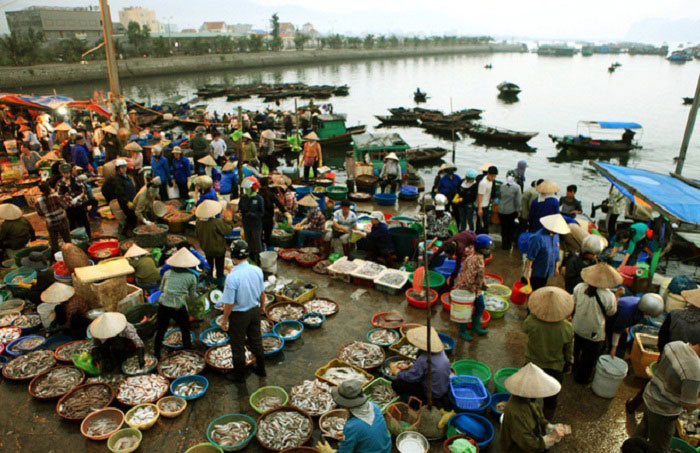 Chợ hải sản Hùng Thắng với nhiều loại hải sản tươi ngon, chất lượng