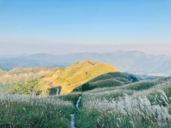 Bình Liêu mùa cỏ lau