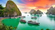 Tour du lịch Hạ Long Du lịch Khát Vọng Việt – Kavo Travel tổ chức chất lượng thế nào mà luôn được du khách tin tưởng?