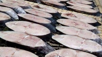 Cách làm cá thu một nắng đơn giản ngay tại nhà