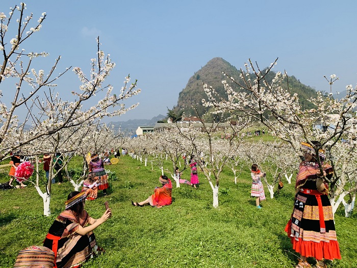 Loại xe ảnh hưởng trực tiếp đến trải nghiệm và giá tour Bắc Hà